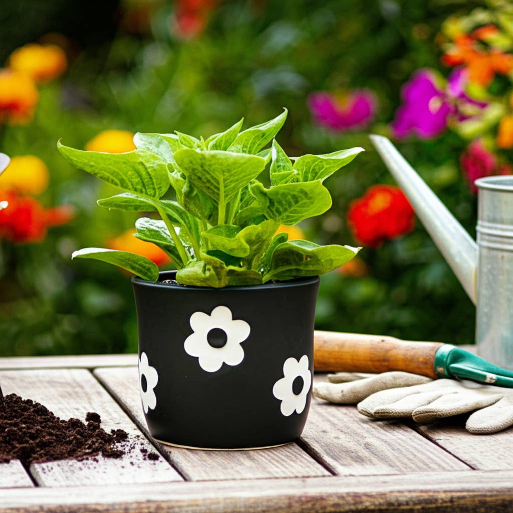 6" Black/White Flower Power Planter
