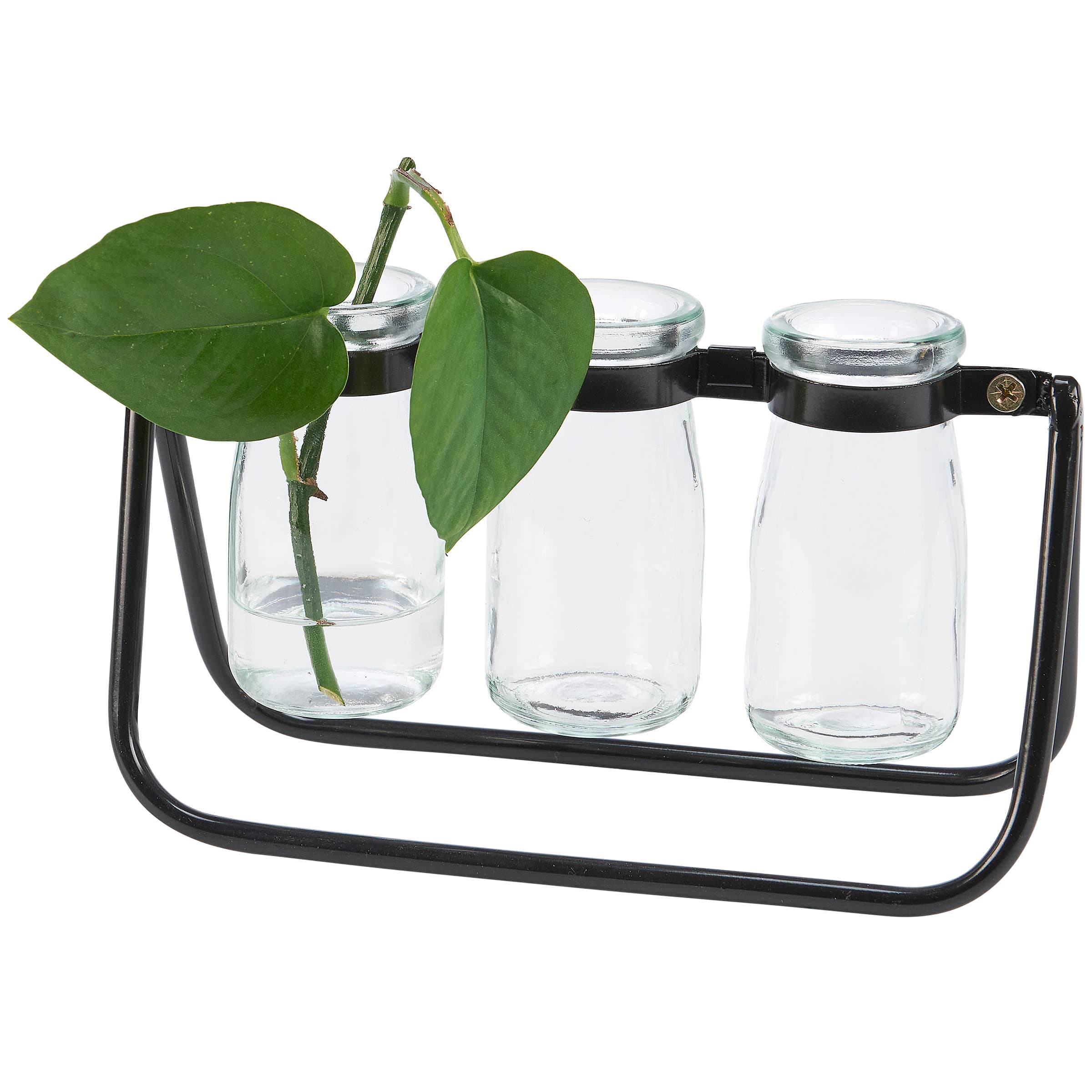 Milk Bottles Test Tube Vase