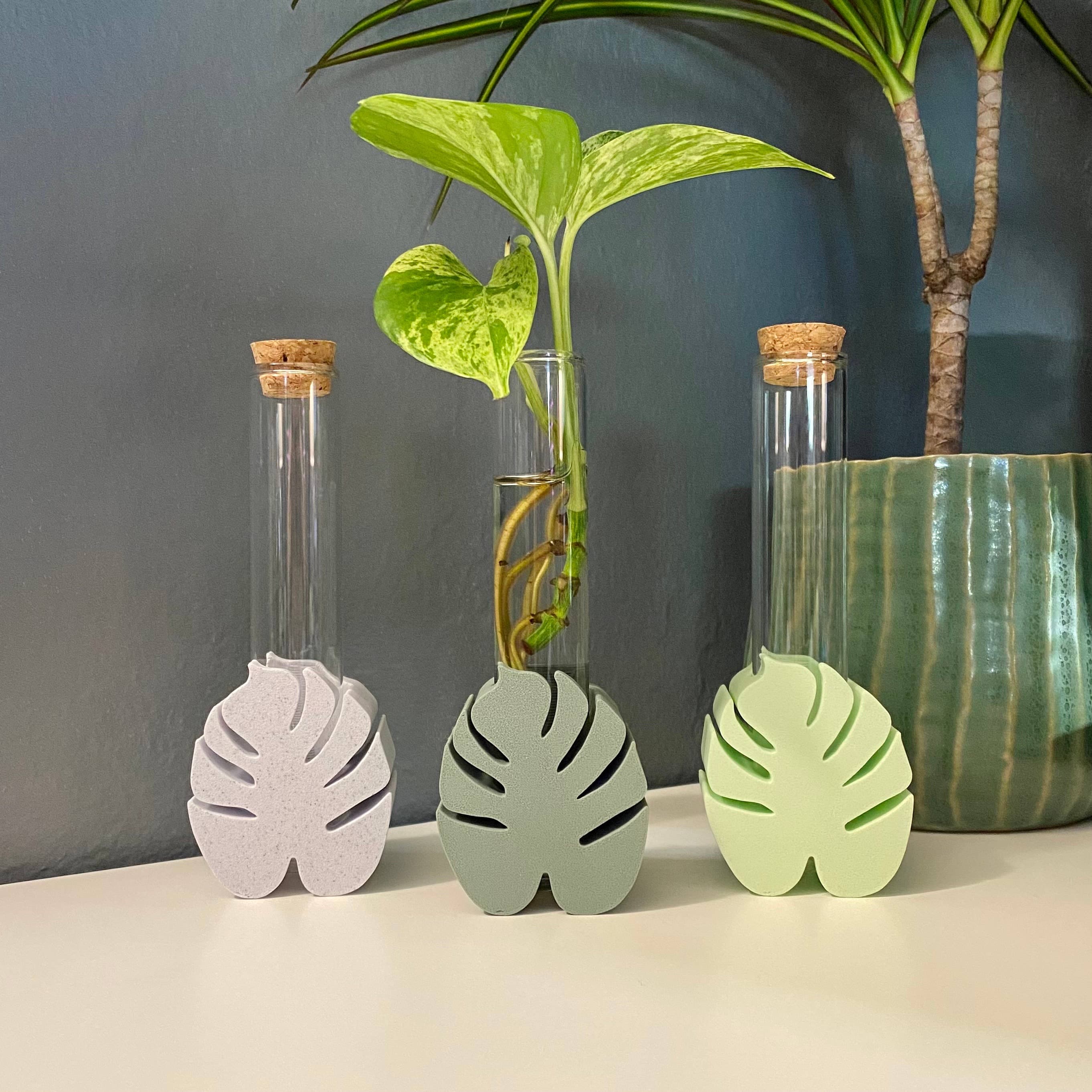 Monstera Propagation Station, 3D Printed Propagation Stand