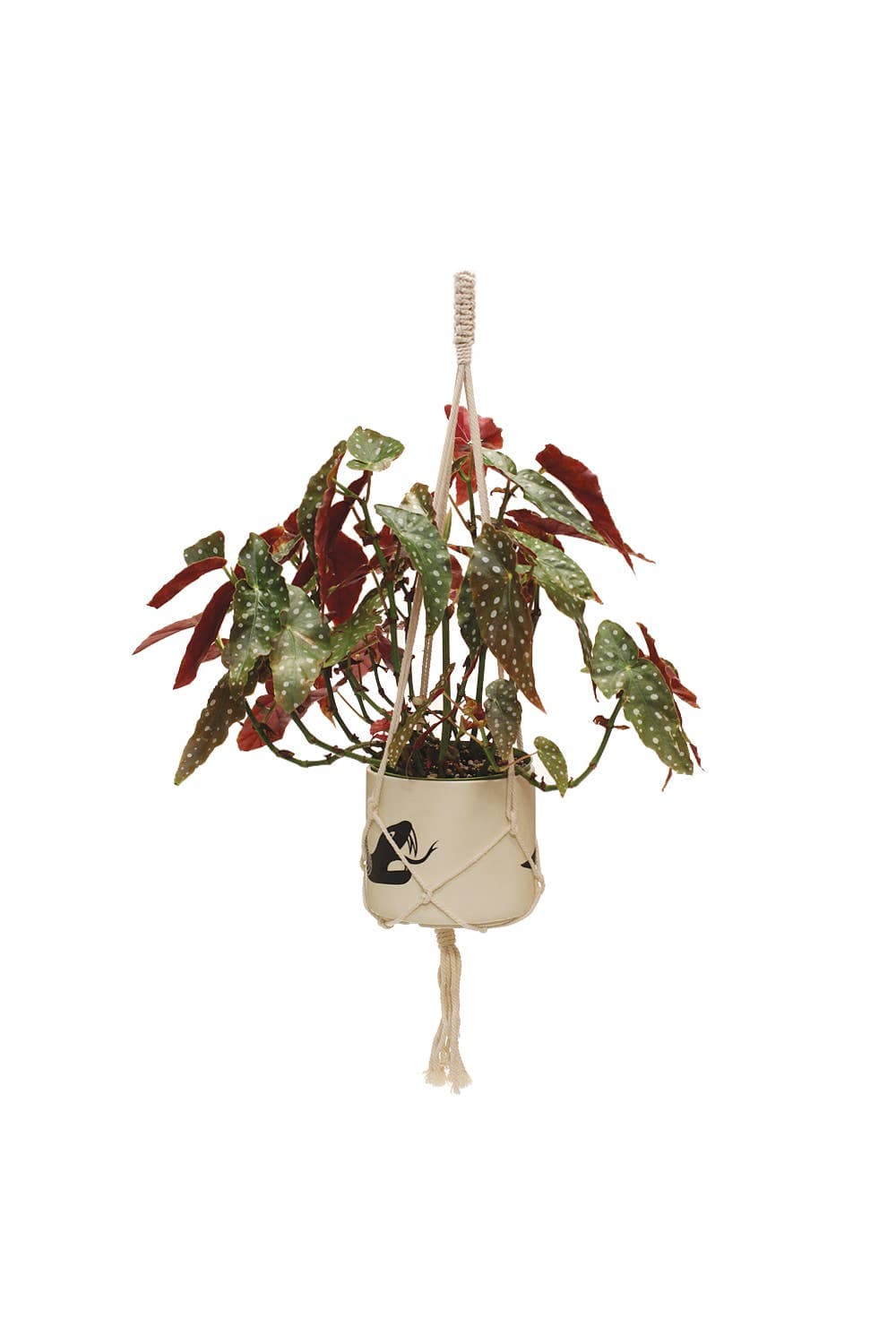 40" Macrame Plant Hanger