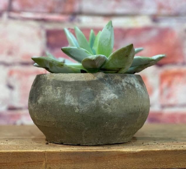 Rochester terra cotta farm pots, mossed blackstone, 4"