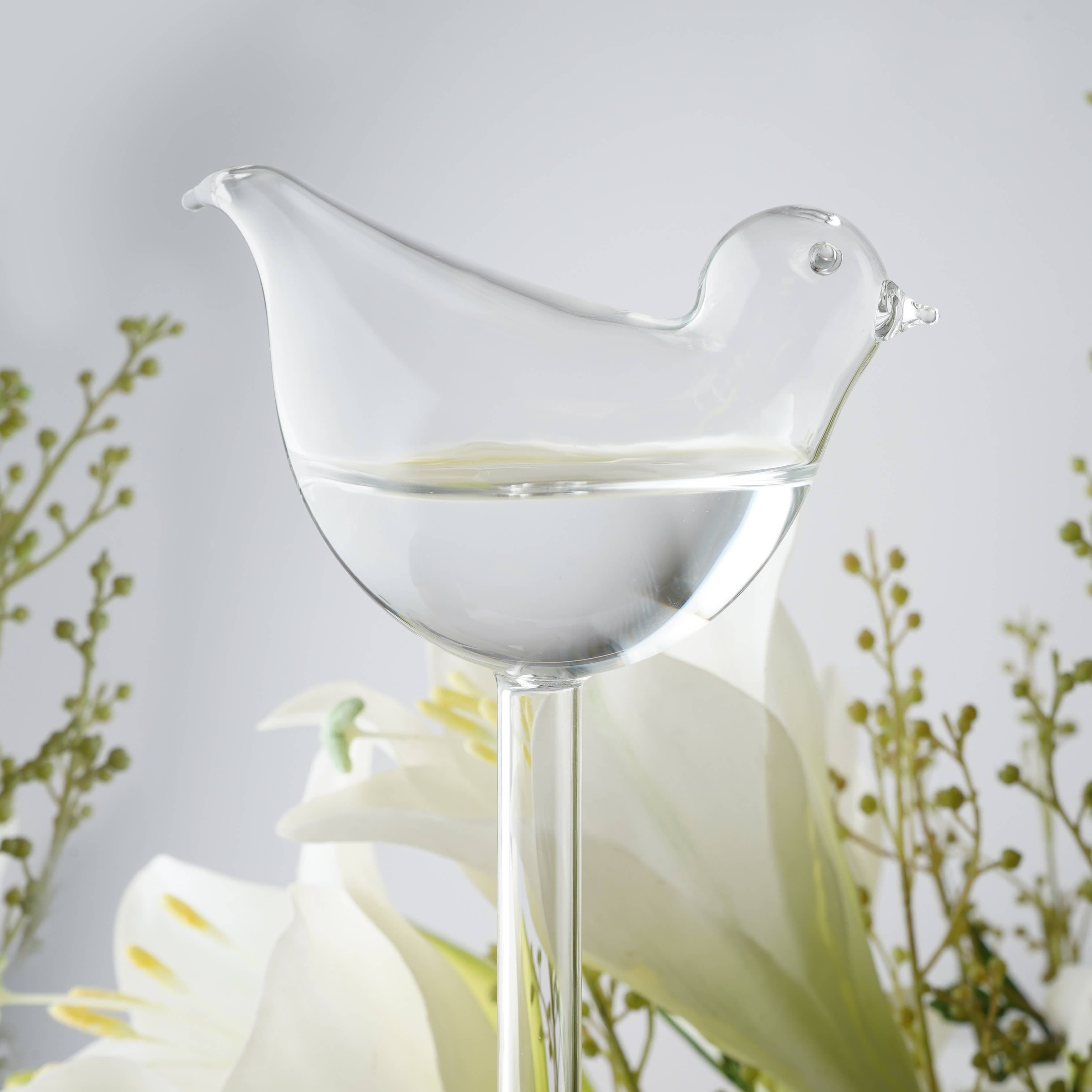 The Potting Shed Glass Bird Plant Feeder in Gift Box