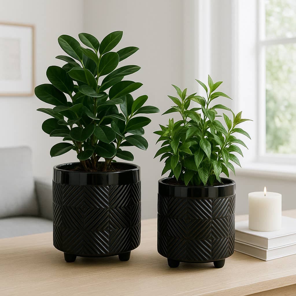 Ceramic Textured Footed Planters - Black, 8"