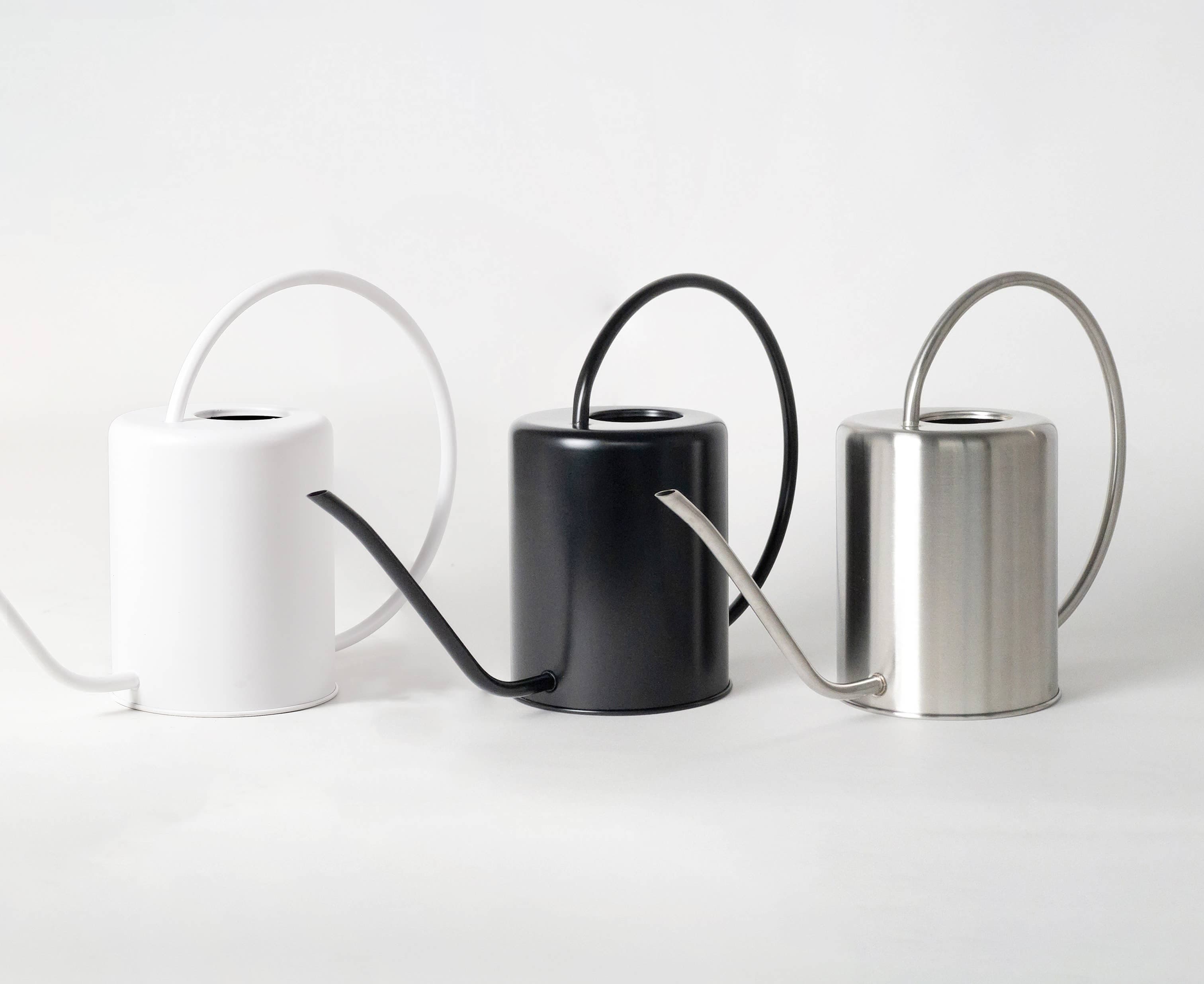 2L Stainless Steel Watering Can