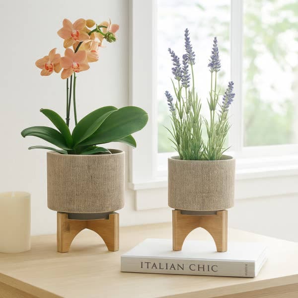 Planters On Stands - Tan Ceramic Mesh, 8"
