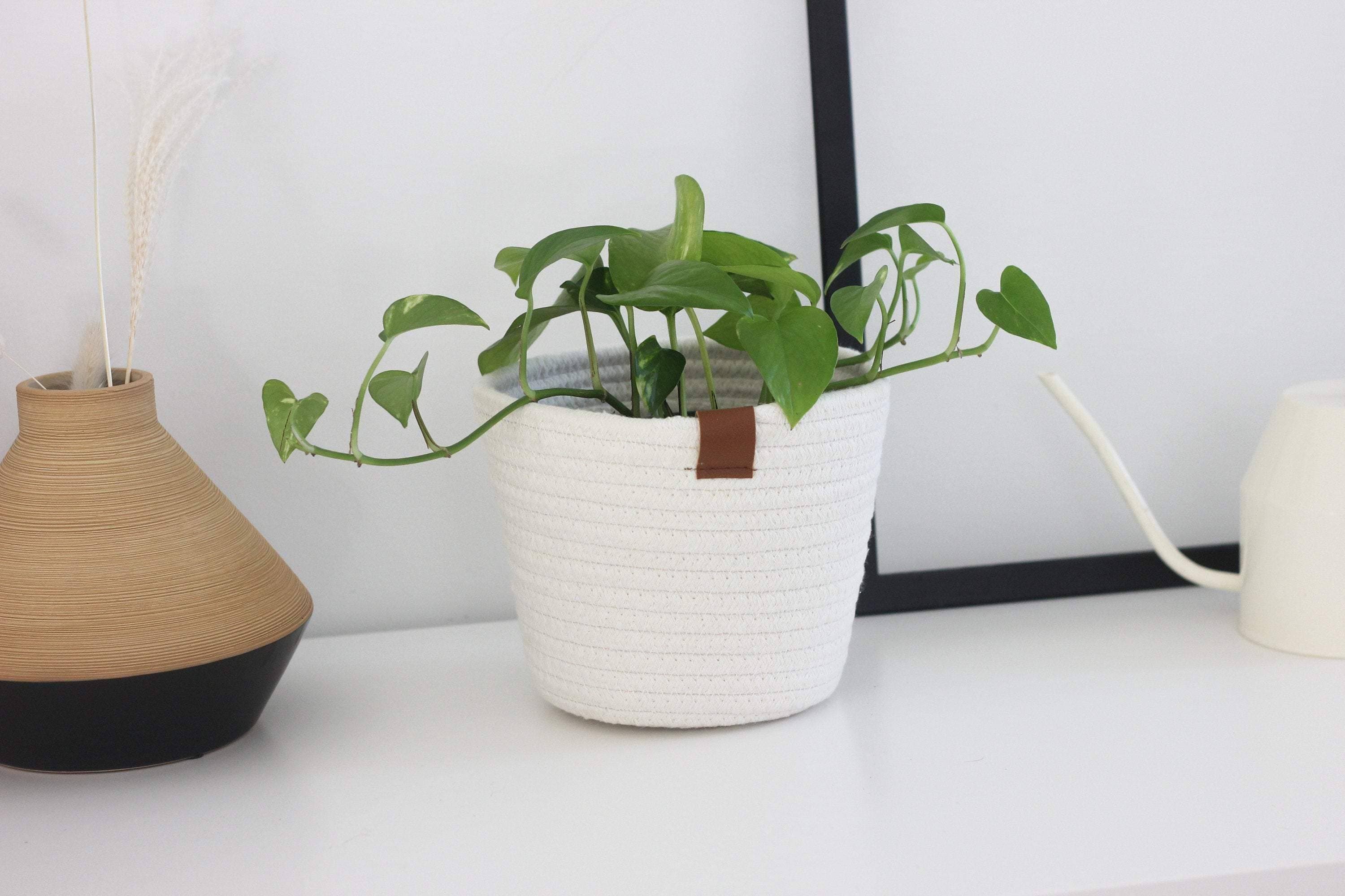 Off White Cotton Rope Plant Basket
