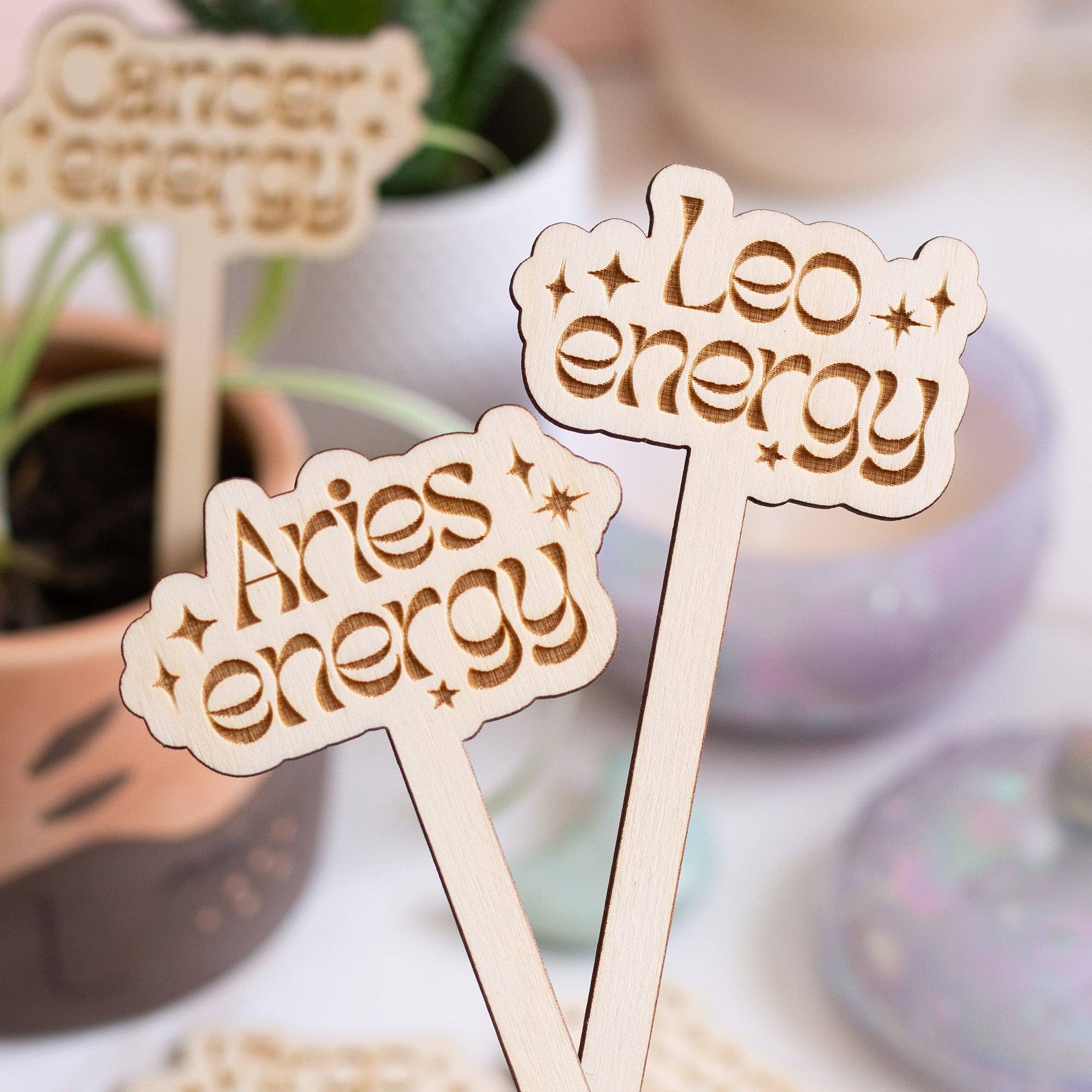 Astrological Sign Wooden Plant Markers