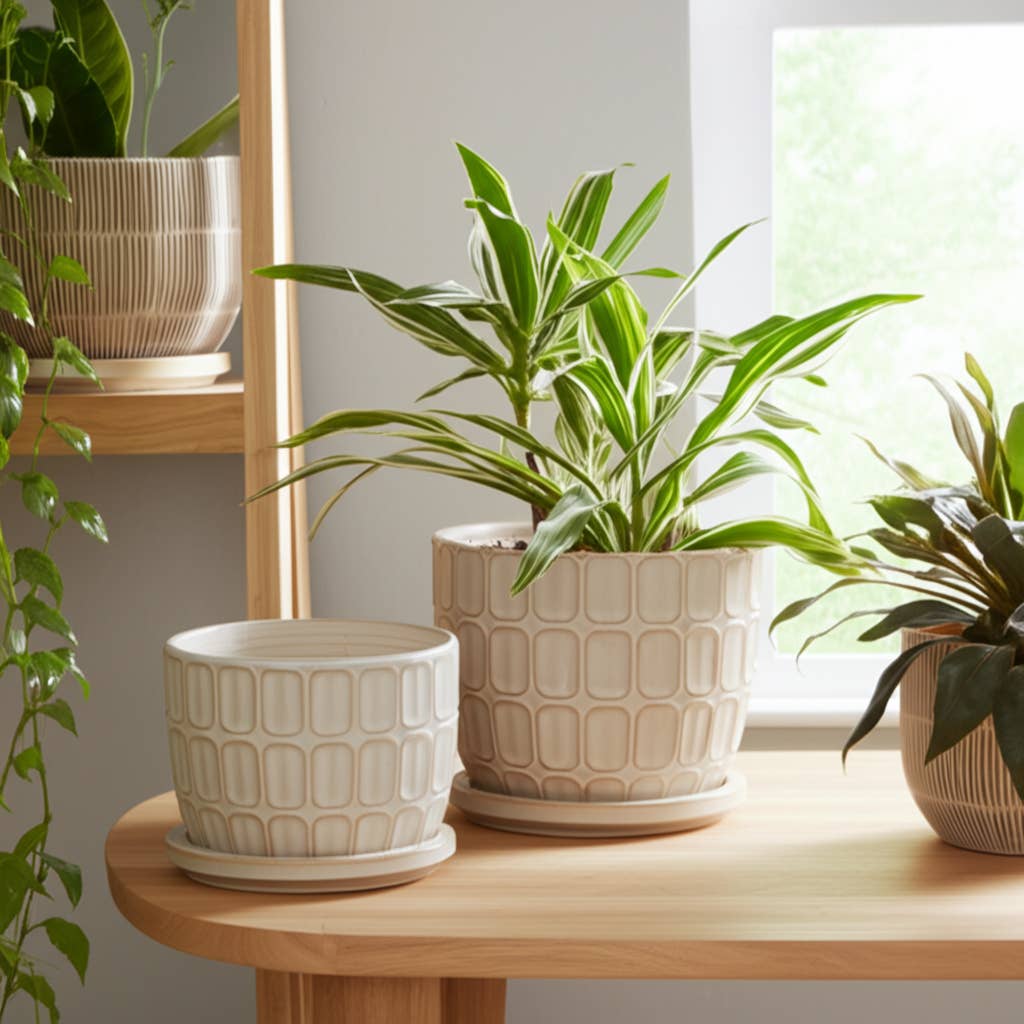 Ivory 8" Ceramic Squoval Saucer Planter